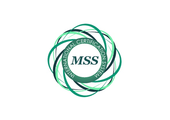 MSS Logo